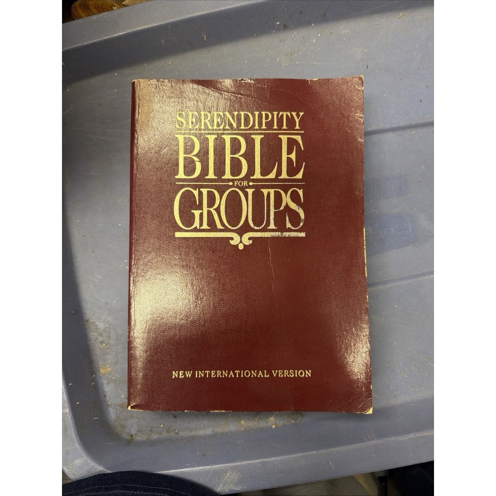 Serendipity Bible For Groups NIV New International Version Paperback